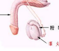 不可小视的异常